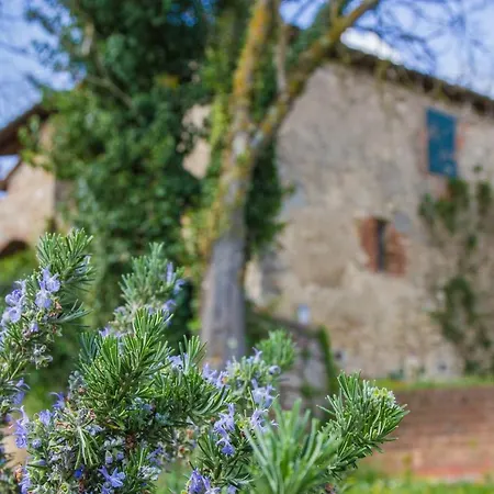 Casale Immerso Nel Verde Colle Val D'Elsa