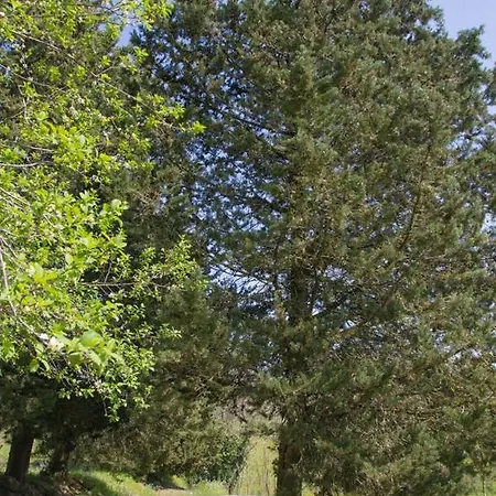 Villa Casale Immerso Nel Verde Colle Val D'Elsa